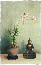 Descrizione: Descrizione: fiore%20e%20Buddha